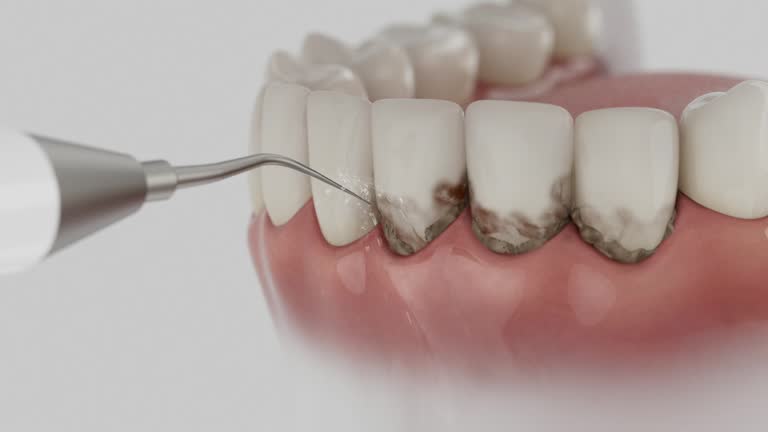 Reliable Dental contractor in Irvine, KY by Dentist Open Now